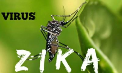 ​Phát hiện virus Zika, Long An khẩn trương ứng phó