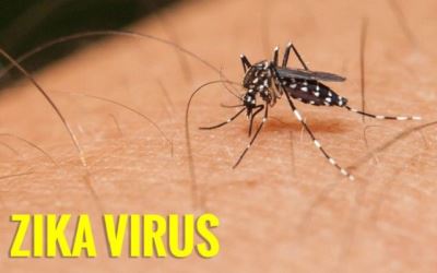 Lâm Đồng nâng mức cảnh báo dịch do virút Zika